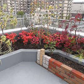 屋上・ベランダ庭園/壁面緑化